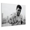 Muhammed Ali Muhammed Ali