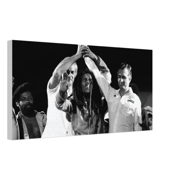 Bob Marley - One Love Concert