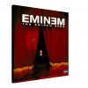 The Eminem Show Canvas Print
